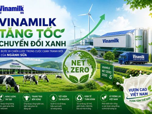 Vinamilk tăng tốc chuyển đổi xanh: Bước đi chiến lược trong cuộc cạnh tranh mới của ngành sữa