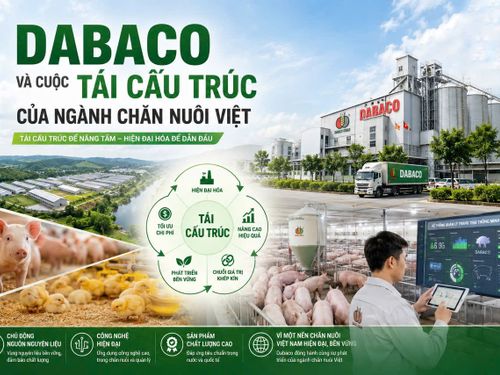 Dabaco và cuộc tái cấu trúc của ngành chăn nuôi Việt