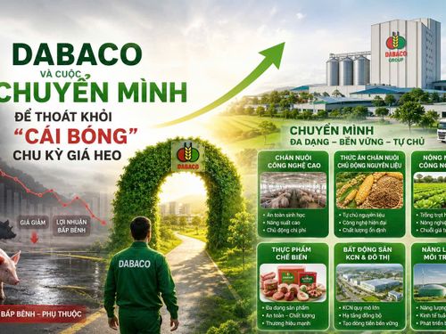 Dabaco và cuộc chuyển mình để thoát khỏi “cái bóng” chu kỳ giá heo