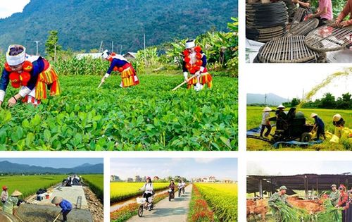 Đẩy nhanh Chương trình mục tiêu quốc gia 2026 – 2030: Thúc đẩy xây dựng nông thôn mới và giảm nghèo bền vững