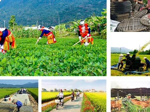 Đẩy nhanh Chương trình mục tiêu quốc gia 2026 – 2030: Thúc đẩy xây dựng nông thôn mới và giảm nghèo bền vững