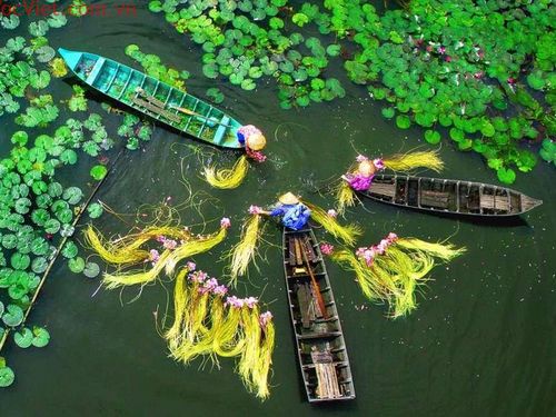 Kết nối sản phẩm OCOP với du lịch cộng đồng, Đồng Tháp tạo sức bật kinh tế nông thôn
