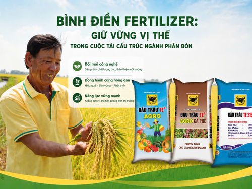 Bình Điền Fertilizer: Giữ vững vị thế trong cuộc tái cấu trúc ngành phân bón