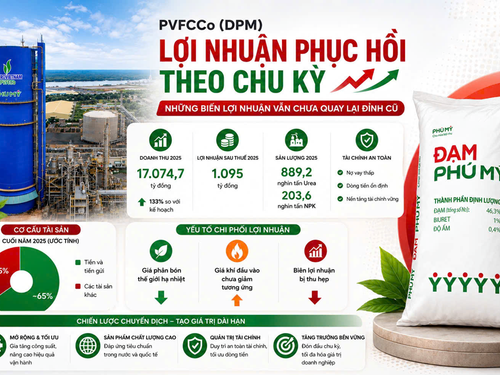 PVFCCo (DPM): Lợi nhuận phục hồi theo chu kỳ, nhưng biên lợi nhuận vẫn chưa quay lại đỉnh cũ