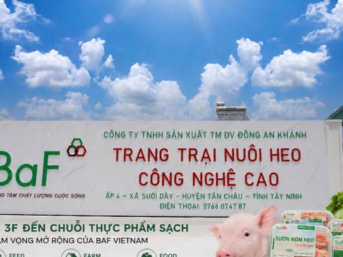 Từ 3F đến chuỗi thực phẩm sạch: tham vọng mở rộng của BAF Vietnam