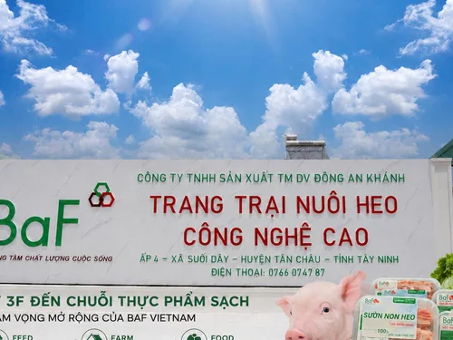 Từ 3F đến chuỗi thực phẩm sạch: tham vọng mở rộng của BAF Vietnam