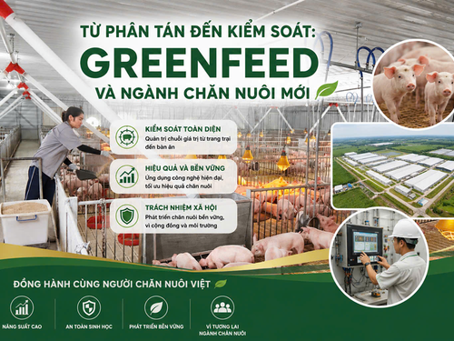 Từ phân tán đến kiểm soát: GreenFeed và ngành chăn nuôi mới
