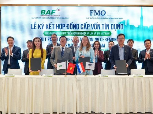 BAF tăng tốc mở rộng chăn nuôi công nghệ cao với khoản tín dụng 50 triệu USD từ Hà Lan