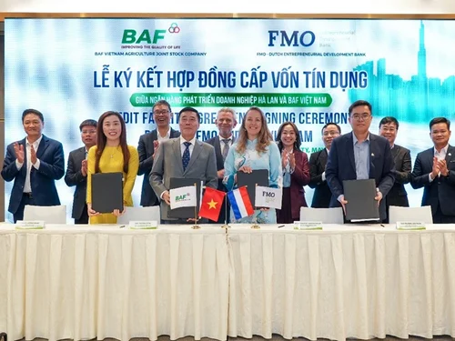 BAF tăng tốc mở rộng chăn nuôi công nghệ cao với khoản tín dụng 50 triệu USD từ Hà Lan