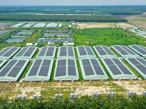 BAF gia nhập rổ VN100, mở rộng hiện diện trong nhóm cổ phiếu vốn hóa lớn