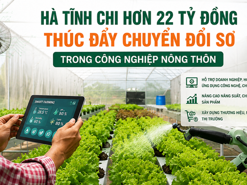 Hà Tĩnh chi hơn 22 tỷ đồng thúc đẩy chuyển đổi số trong công nghiệp nông thôn