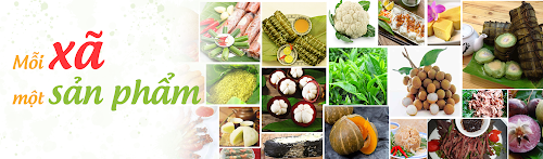 OCOP: Thành công bước đầu, thách thức dài hạn