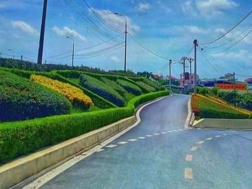 Phát huy nội lực cộng đồng: Xã hội hóa tạo đòn bẩy cho nông thôn mới