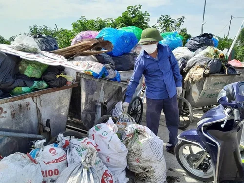 Sóc Sơn lan tỏa mô hình “Cánh đồng không rác thải”, chung tay xây dựng nền nông nghiệp xanh