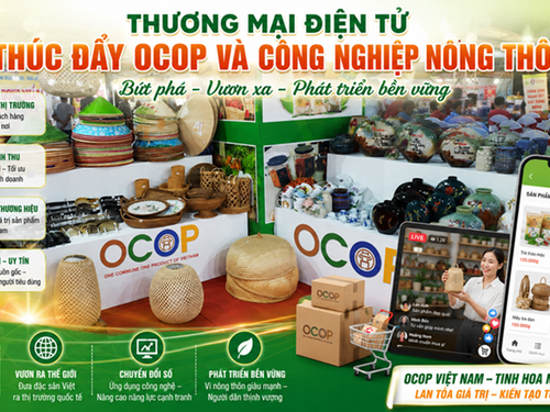 Thương mại điện tử thúc đẩy OCOP và công nghiệp nông thôn bứt phá