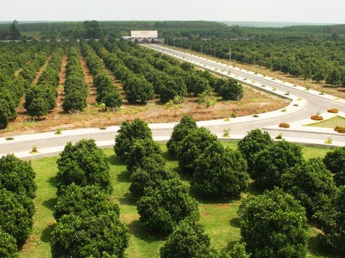Vinamit: Từ nông trại hữu cơ đến chuỗi giá trị chế biến nông sản