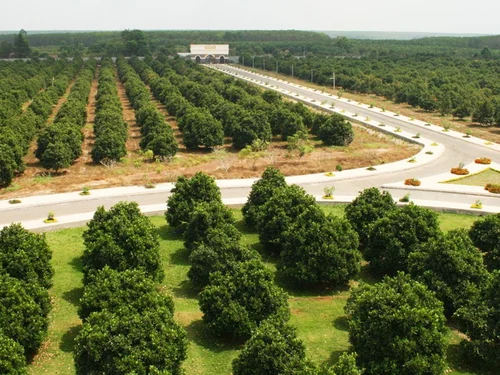 Vinamit: Từ nông trại hữu cơ đến chuỗi giá trị chế biến nông sản