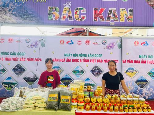 Bắc Kạn và hành trình nâng tầm đặc sản OCOP 5 sao: Từ sợi miến dong truyền thống đến sản phẩm công nghệ cao từ Nano Curcumin
