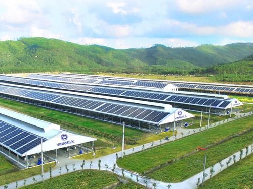Điện mặt trời cho sản xuất nông nghiệp: Giải pháp xanh mở đường cho nông nghiệp bền vững