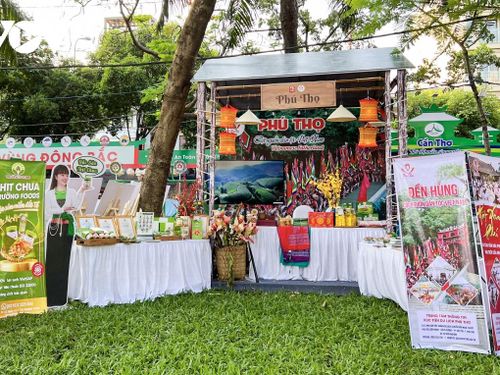 Phú Thọ và những sản phẩm OCOP 5 sao quốc gia: Khi tinh hoa đất Tổ được nâng tầm thương hiệu