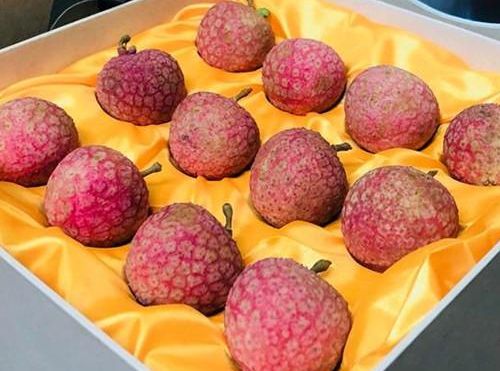 Vải thiều Lục Ngạn Hồng Xuân – Niềm tự hào OCOP 5 sao của Bắc Giang trên hành trình chinh phục thị trường quốc tế