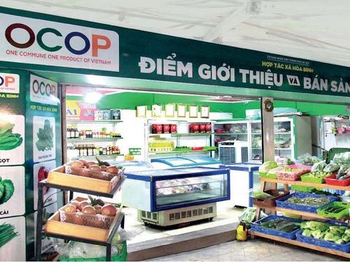 OCOP 5 sao Hà Nội: Khi tinh hoa làng nghề và nông sản Thủ đô khẳng định vị thế quốc gia
