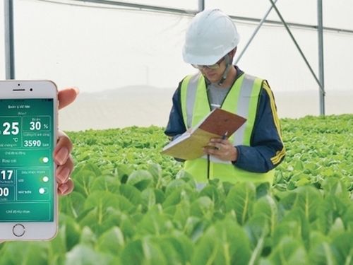 Nông nghiệp thông minh: Khi tự động hóa định hình tương lai sản xuất
