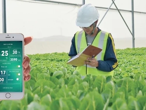 Nông nghiệp thông minh: Khi tự động hóa định hình tương lai sản xuất
