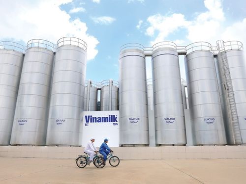 Vinamilk lan tỏa thực hành giảm phát thải, thúc đẩy chuyển đổi xanh ngành sữa
