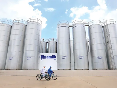 Vinamilk lan tỏa thực hành giảm phát thải, thúc đẩy chuyển đổi xanh ngành sữa