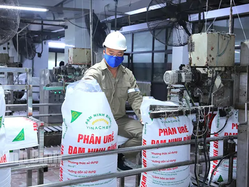 Đạm Ninh Bình nâng cao chất lượng sản phẩm, mở rộng thị trường trong và ngoài nước