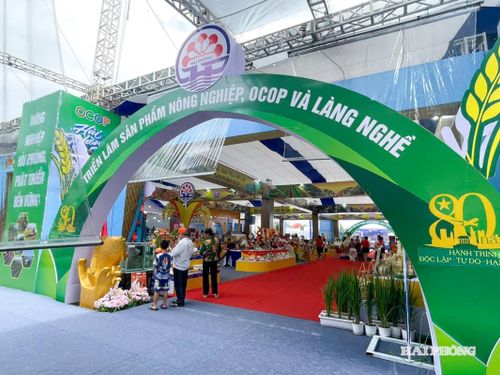 OCOP Hải Phòng: 8 sản phẩm đạt chuẩn 5 sao cấp quốc gia