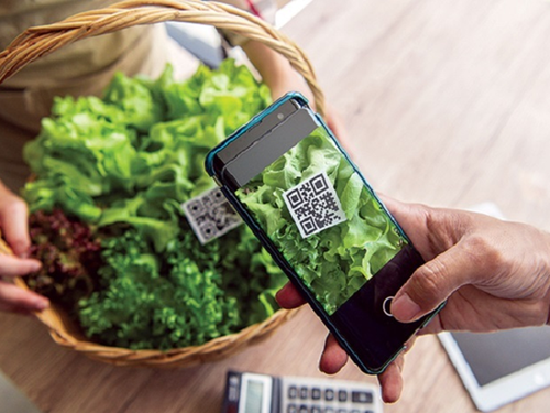 Mã QR trên nông sản: Xu hướng tất yếu trong minh bạch hóa và chuyển đổi số nông nghiệp Việt Nam