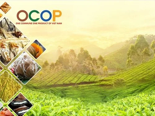 [Infographic] Bộ tiêu chí và quy trình đánh giá, phân hạng sản phẩm OCOP