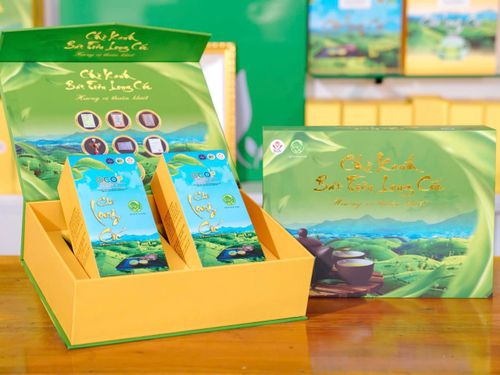 HTX Sản xuất chè an toàn xã Long Cốc: Hướng đi bền vững cho thương hiệu chè Phú Thọ