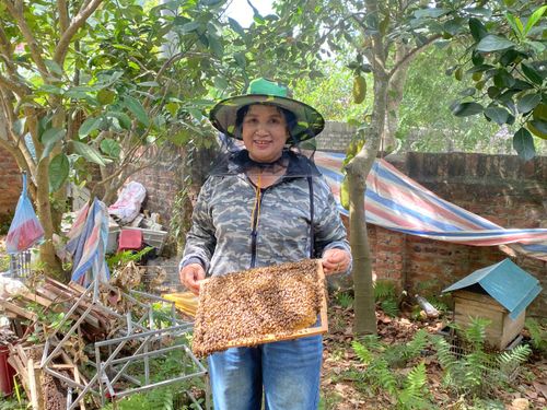 Mật ong hoa rừng cô Nụ khẳng định thương hiệu OCOP địa phương