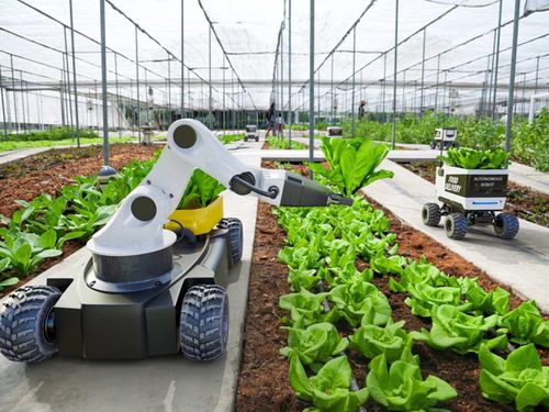 Robot hóa trong sản xuất nông nghiệp hiện đại: Khi cánh đồng bước vào kỷ nguyên tự động hóa