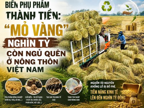 Biến phụ phẩm thành tiền: 