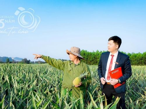 Agribank Thanh Hóa đồng hành cùng người dân phát triển nông nghiệp công nghệ cao và sản phẩm OCOP