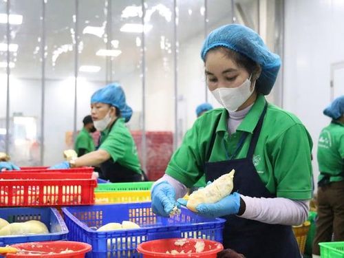 Xu hướng xuất khẩu nông sản chế biến 6 tháng đầu năm: Từ “bán nguyên liệu” sang cuộc đua giá trị gia tăng
