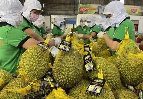 Hệ thống truy xuất nguồn gốc nông sản đã phủ sóng 26/34 tỉnh, thành; mở rộng nhiều ngành hàng chủ lực từ tháng 7/2026