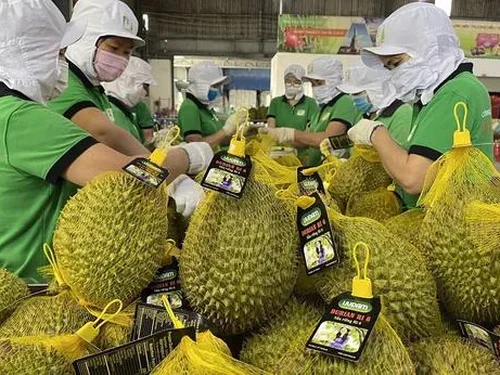 Hệ thống truy xuất nguồn gốc nông sản đã phủ sóng 26/34 tỉnh, thành; mở rộng nhiều ngành hàng chủ lực từ tháng 7/2026