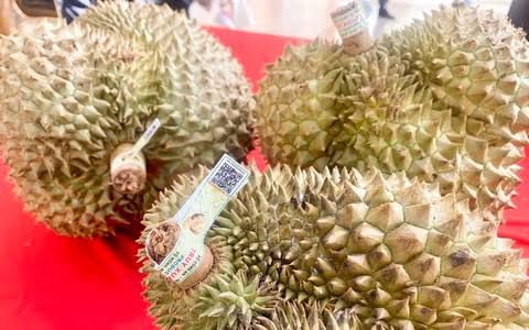 Từ ngày 1/7/2026: Chính thức vận hành Hệ thống truy xuất nguồn gốc nông lâm thủy sản trên toàn quốc