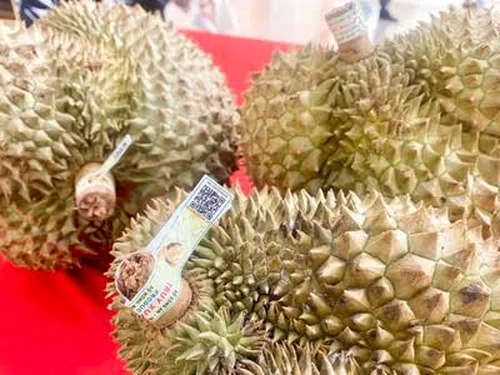 Từ ngày 1/7/2026: Chính thức vận hành Hệ thống truy xuất nguồn gốc nông lâm thủy sản trên toàn quốc