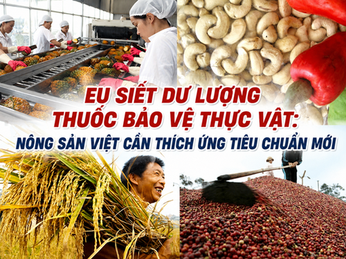 EU siết dư lượng thuốc bảo vệ thực vật: Nông sản Việt cần thích ứng tiêu chuẩn mới