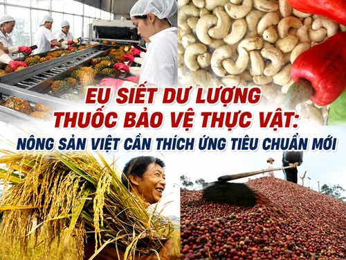 EU siết dư lượng thuốc bảo vệ thực vật: Nông sản Việt cần thích ứng tiêu chuẩn mới