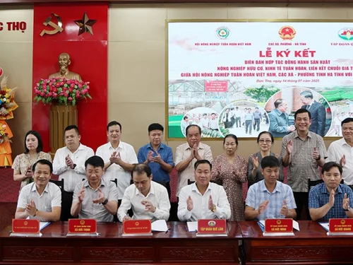 Tập đoàn Quế Lâm: Đẩy mạnh liên kết sản xuất nông nghiệp hữu cơ, tuần hoàn tại Hà Tĩnh