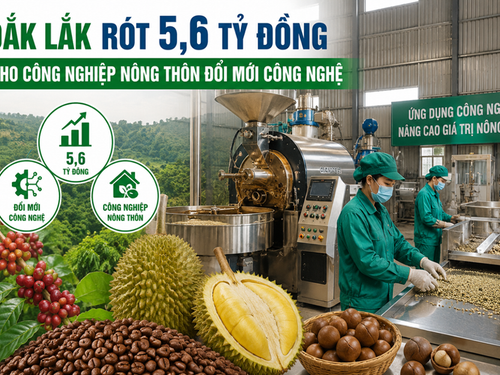 Đắk Lắk rót 5,6 tỷ đồng cho công nghiệp nông thôn đổi mới công nghệ