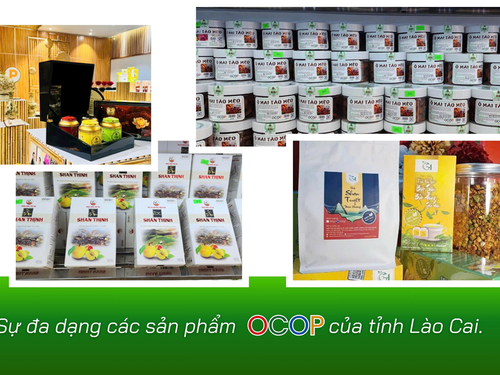 OCOP Lào Cai: Đánh thức tiềm năng đặc sản vùng cao, tạo động lực phát triển kinh tế nông thôn