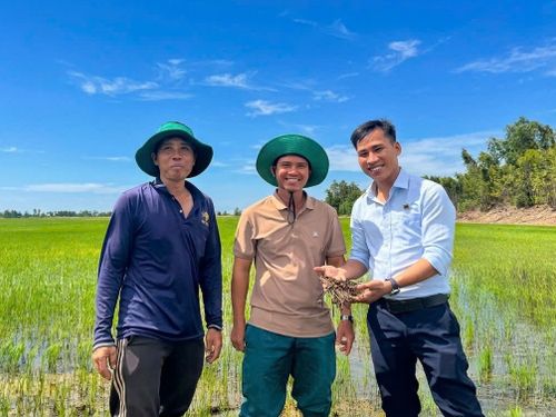 Công ty CPPB Bình Điền: Hồi sinh đất phèn, kiến tạo những cánh đồng lúa xanh khỏe